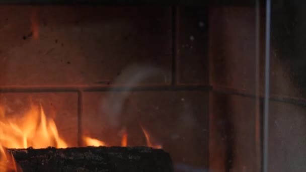 木材燃烧的壁炉 — 图库视频影像