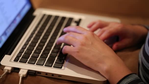 Person using a laptop computer — Stock Video