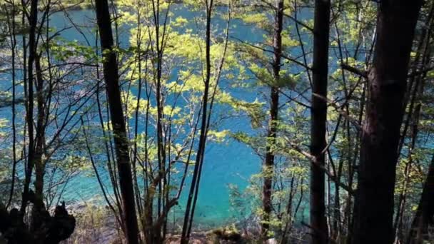 Lago nella bellissima valle di Juizhaigou — Video Stock