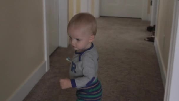 Boy playing in the house — Stock Video