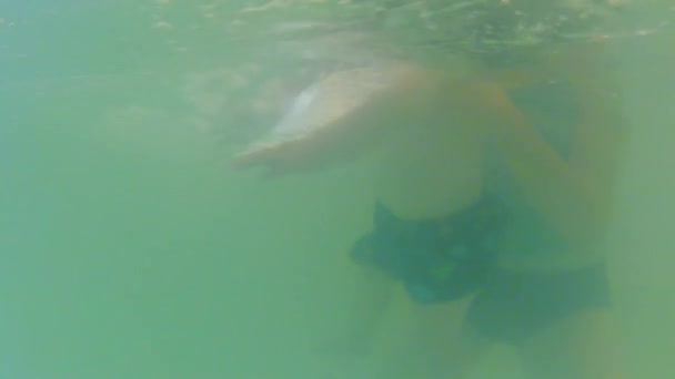 Niño nadando en una piscina — Vídeo de stock