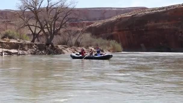 Familie roeien een rivier — Stockvideo