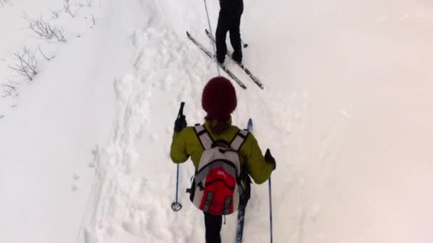 Une femme ski de fond — Video