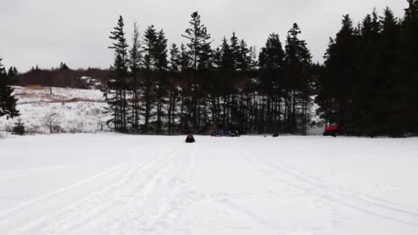 Woman sledding down — Stock Video