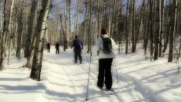 Ski de fond de groupe — Video