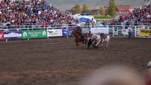 Cowboys hold toping på en – Stock-video