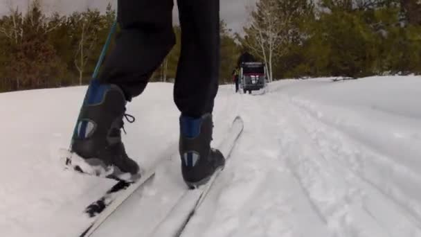 Rodinný běžecké lyžování — Stock video
