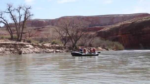 Familia remando un río — Vídeo de stock