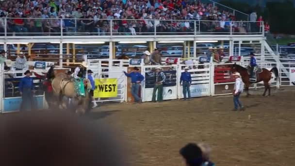 Cowboys team roping at a — Stock Video