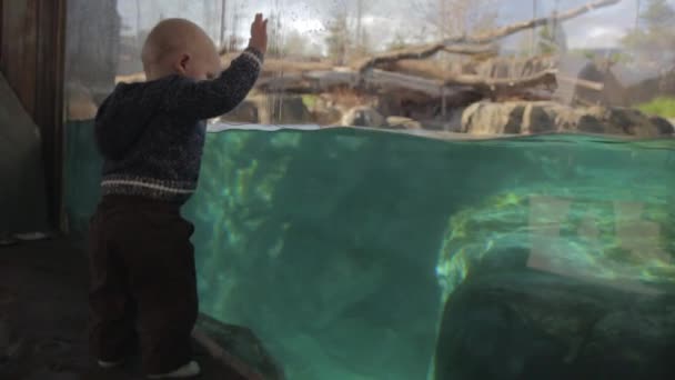 Bebé mirando en un acuario en cámara lenta — Vídeos de Stock