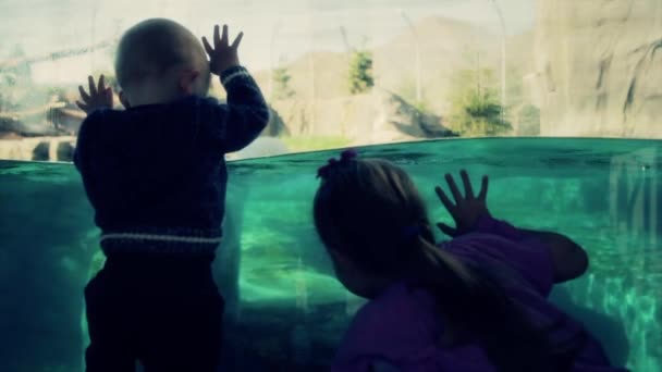 Niño y niña viendo oso polar — Vídeos de Stock