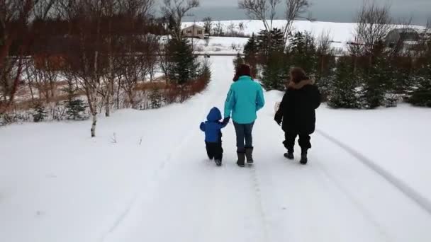 Família caminhando pela floresta — Vídeo de Stock