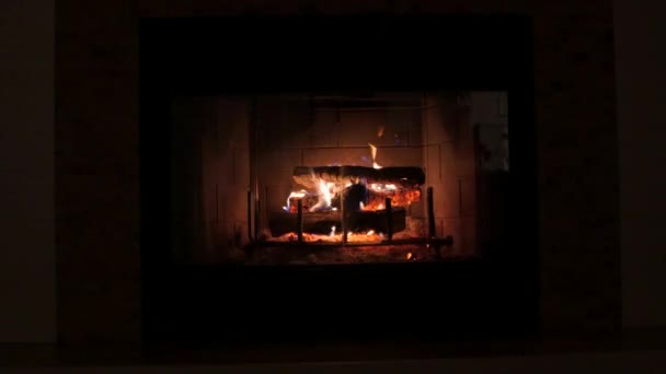 Chimenea de leña — Vídeo de stock