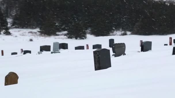 Cimitero durante una tempesta invernale — Video Stock