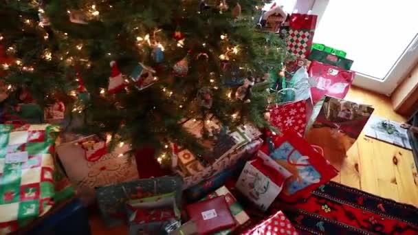 Kerstboom met cadeautjes — Stockvideo