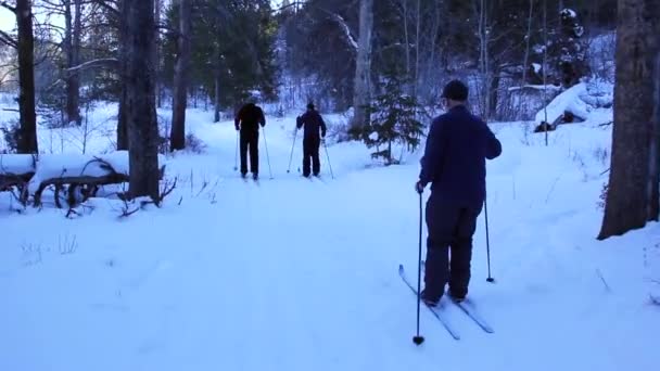 Gruppera längdskidåkning — Stockvideo