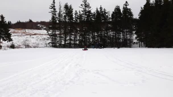 Familienschlitten den verschneiten Hügel hinunter — Stockvideo