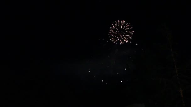 4 juli vuurwerk — Stockvideo
