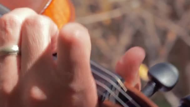 Чоловік грає на скрипці — стокове відео