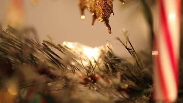 Árbol de Navidad con luces — Vídeo de stock