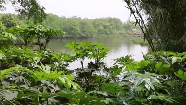 Lago no centro de pesquisa — Vídeo de Stock