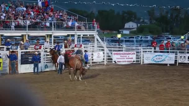 Cowboy Sattel Bronc Reiten — Stockvideo