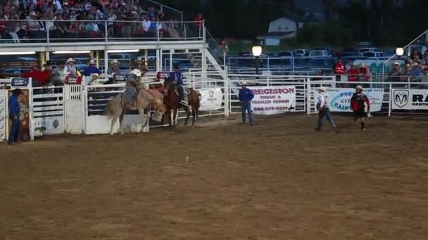 Cowboy zadel bronc rijden — Stockvideo