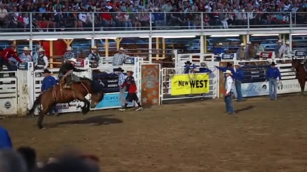 Cowboy sela bronco equitação — Vídeo de Stock