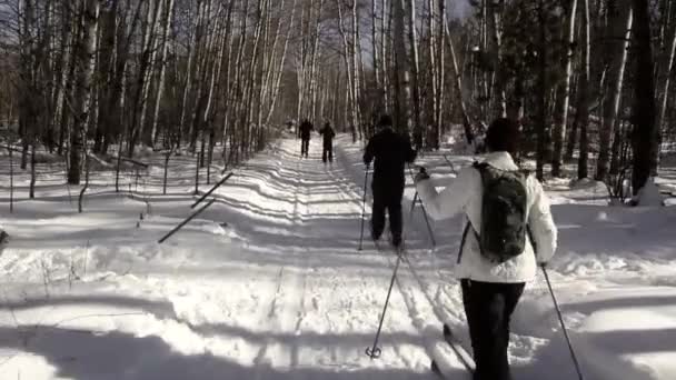 Ski de fond de groupe — Video