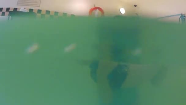 Baby dreng svømning i en pool – Stock-video