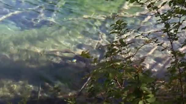 Lago en el hermoso valle de Juizhaigou — Vídeo de stock