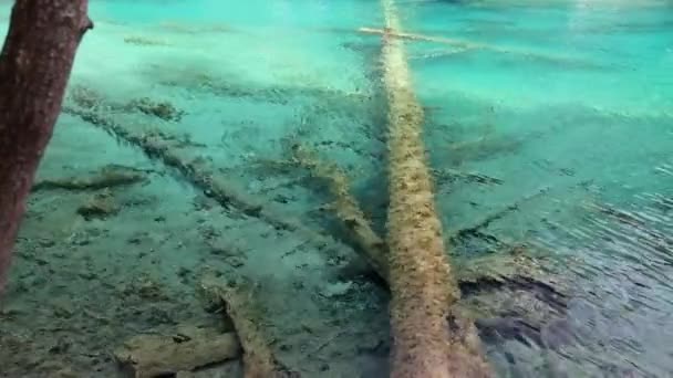 Blauer Wassersee im schönen Juizhaigou-Tal — Stockvideo