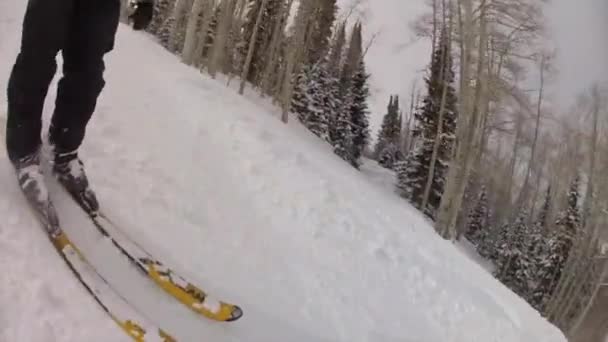 Man skidåkning på ski resort — Stockvideo