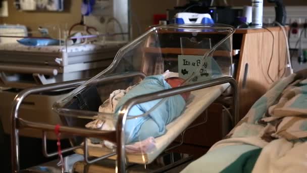 Newborn in hospital bed — Stock Video