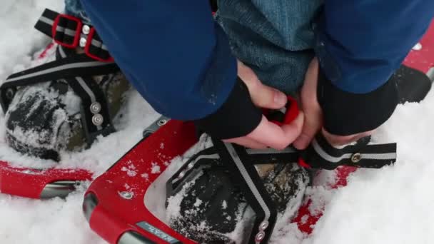 Man riemen op sneeuwschoenen om te wandelen — Stockvideo