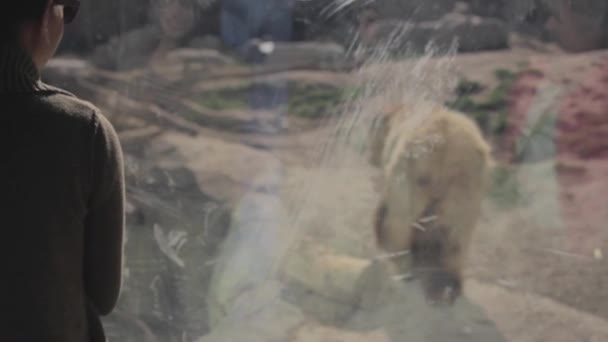 Женщина и ребенок в зоопарке — стоковое видео