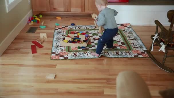 Fiú játszik a nappaliban — Stock videók
