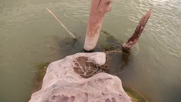 Sombrero mexicano roca en río — Vídeos de Stock
