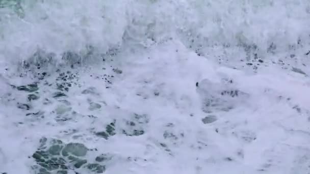 눈 폭풍에 겨울 해안선 — 비디오