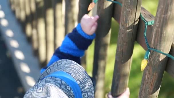 Un niño tocando las luces de Navidad — Vídeos de Stock