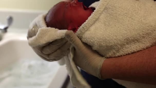 Baby worden gereinigd door het verplegend personeel — Stockvideo