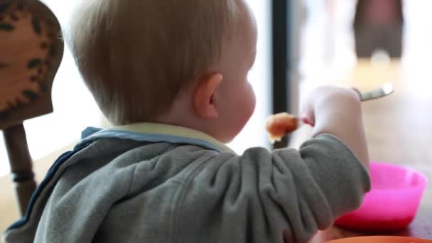 Boy eating his grilled cheese — Stock Video