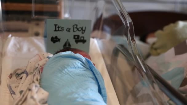 Woman sleeps  in a hospital bed near newborn — Stock Video