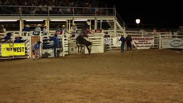 Bull rider at rodeo — Stock Video