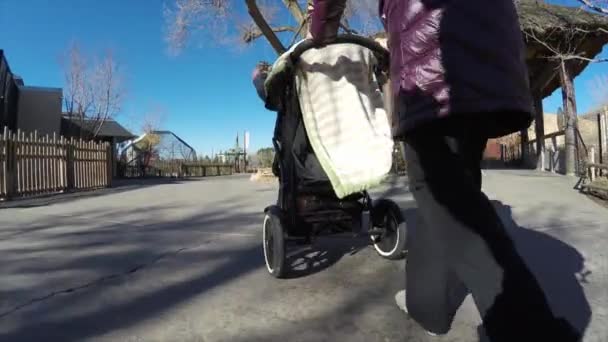 Мама толкает коляску — стоковое видео