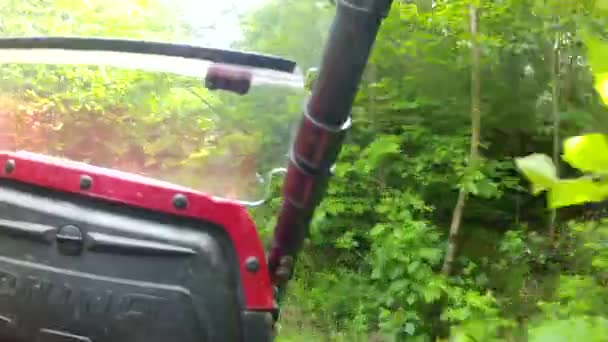 Side by side four wheeler driving — Stock Video