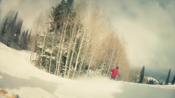 Людина катається на лижах на лижному курорті — стокове відео