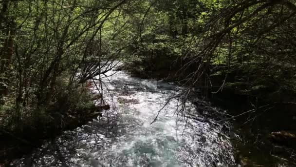 Поток в долине Цзючжайгоу — стоковое видео