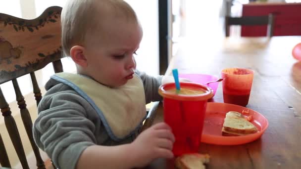 Boy eating his grilled cheese — Stock Video