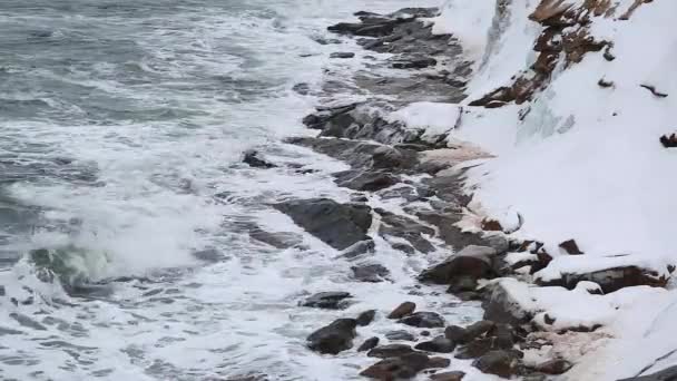 Snow covered ocean coast — Stock Video